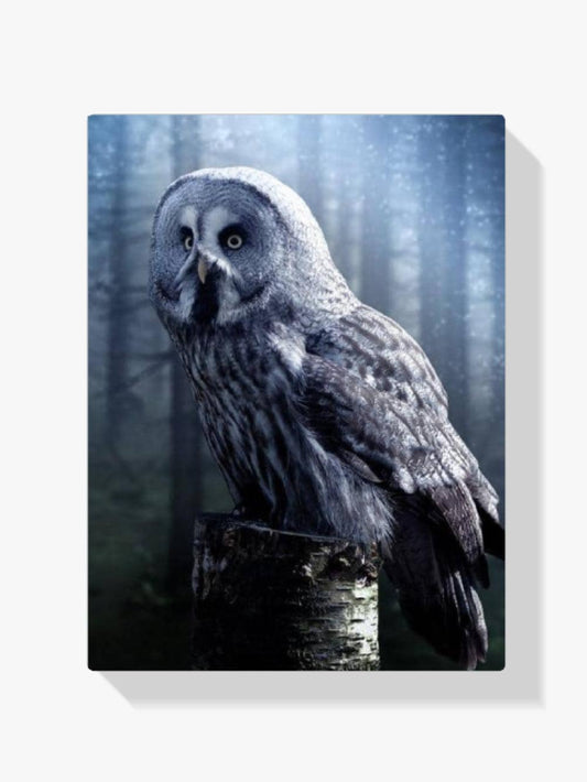 Diamantmalerei Eule auf einem Baum - SEOS Shop ®