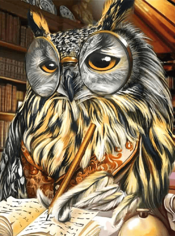 Diamond Painting Eule schreibt auf Papier - SEOS Shop ®