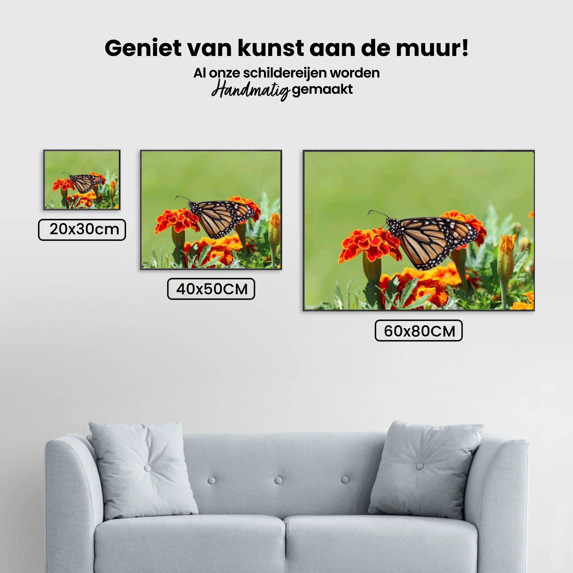 Diamantmalerei Schmetterling - SEOS Shop ®
