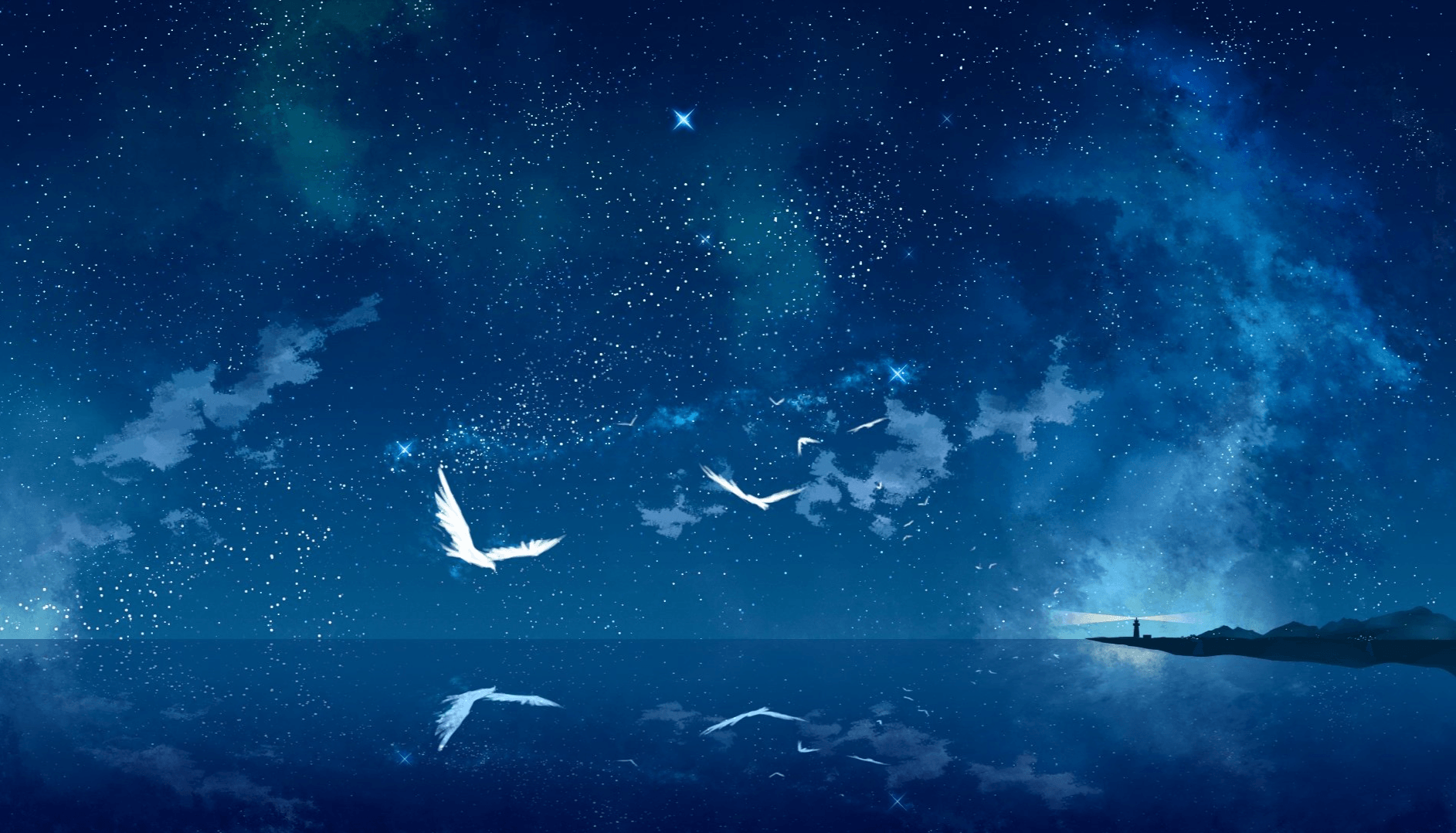 Diamantmalerei Vögel in der Nacht - SEOS Shop ®