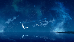 Diamantmalerei Vögel in der Nacht - SEOS Shop ®