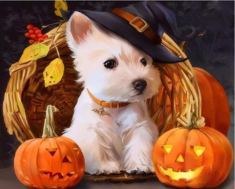 Diamantmalerei West Highland White Terrier - SEOS Shop ®
