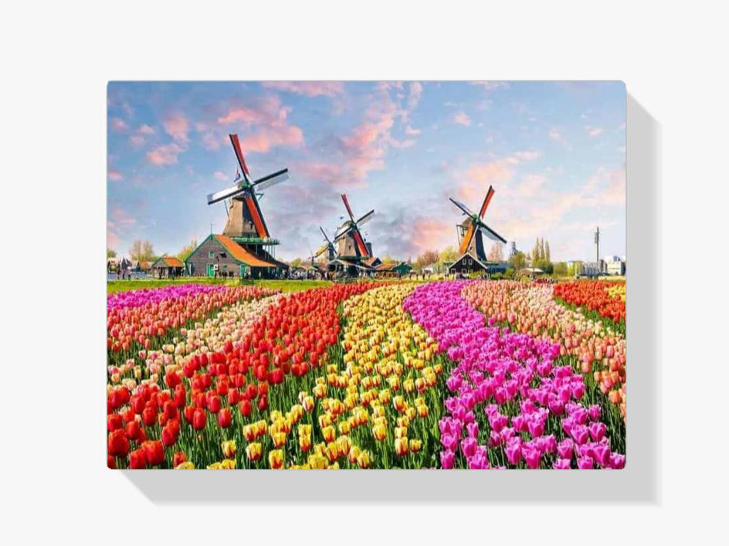 Diamond Painting Windmühlen mit holländischen Tulpen - SEOS Shop ®
