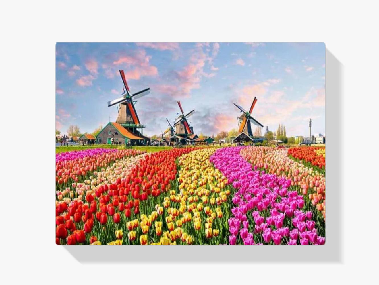 Diamond Painting Windmühlen mit holländischen Tulpen - SEOS Shop ®