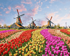 Diamond Painting Windmühlen mit holländischen Tulpen - SEOS Shop ®