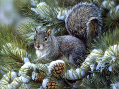 Diamantmalerei Winter Süßes Eichhörnchen - SEOS Shop ®