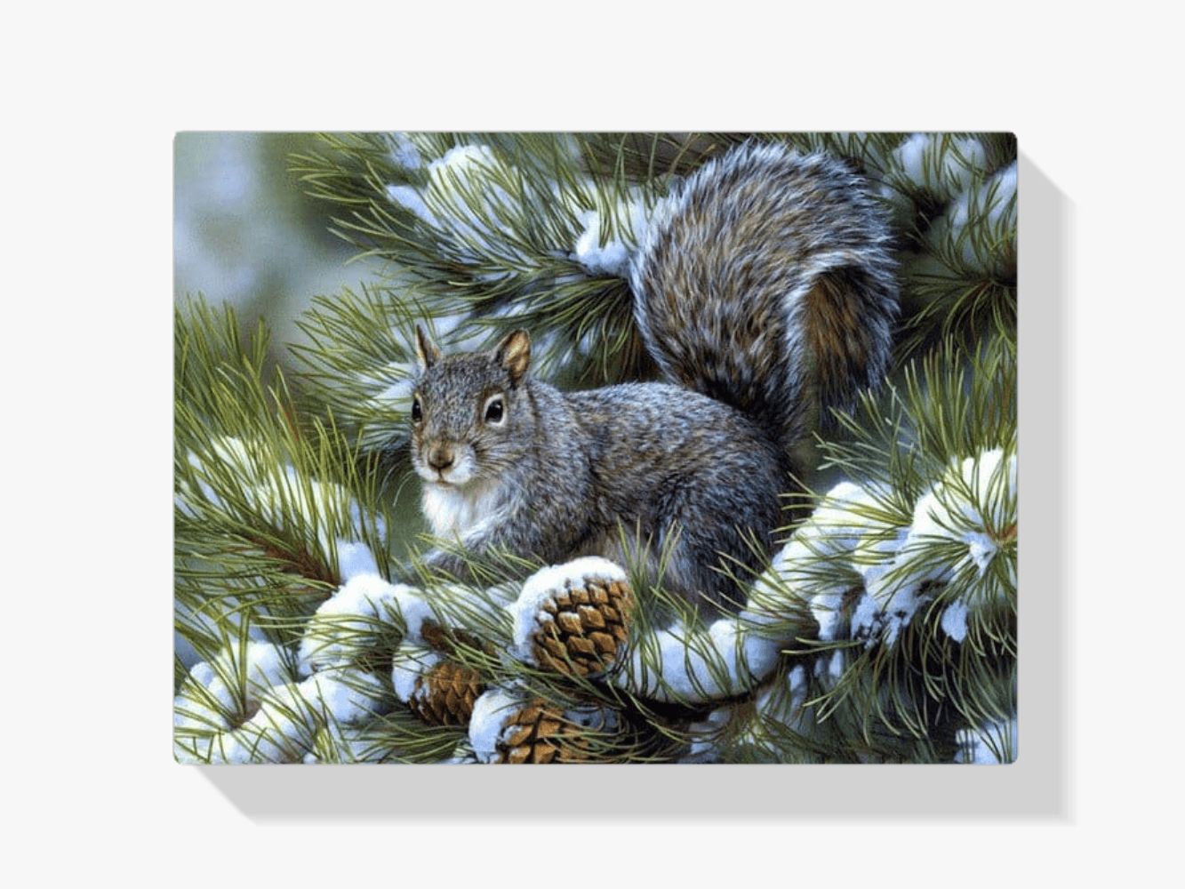 Diamantmalerei Winter Süßes Eichhörnchen - SEOS Shop ®