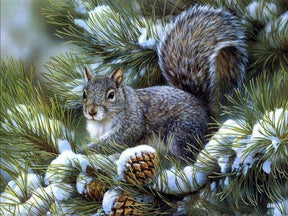 Diamantmalerei Winter Süßes Eichhörnchen - SEOS Shop ®