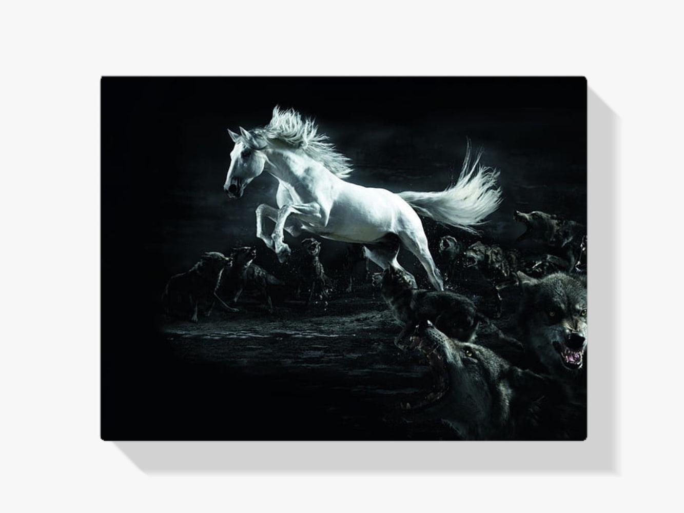 Diamantmalerei Weißes Pferd und Wölfe - SEOS Shop ®