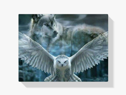 Diamantmalerei Weiße Eule – SEOS Shop ®