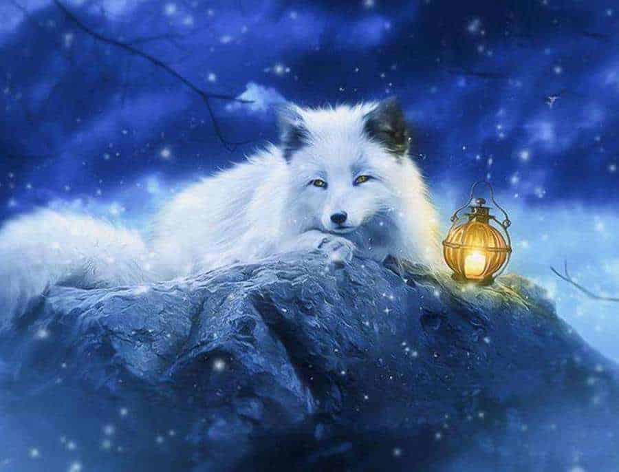 Diamantmalerei Weißer Fuchs mit Lampe – SEOS Shop ®