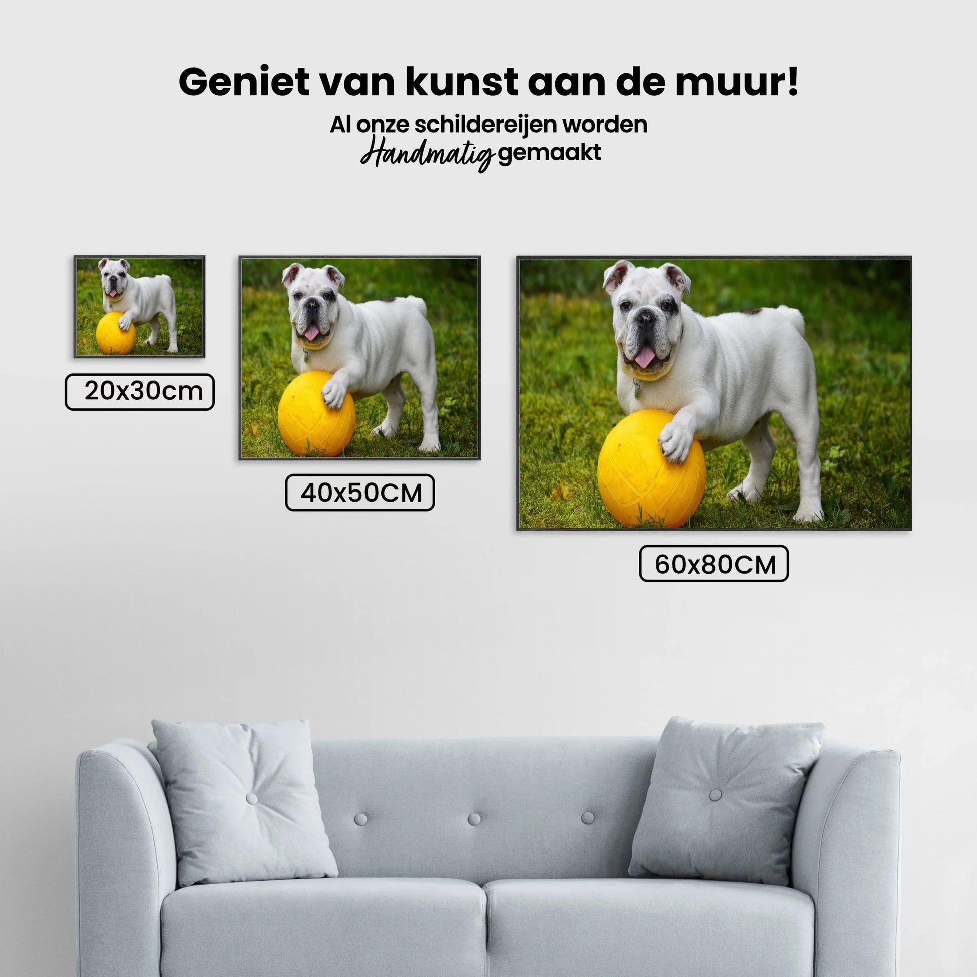 Diamond Painting Weiße Bulldogge mit Ball - SEOS Shop ®