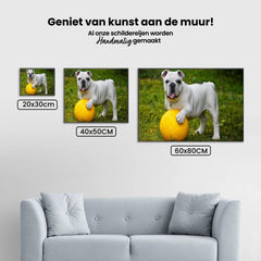 Diamond Painting Weiße Bulldogge mit Ball - SEOS Shop ®