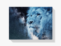 Diamantmalerei Weißer Löwe - SEOS Shop ®