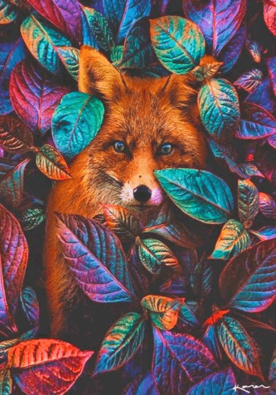 Diamond Painting Wolf versteckt - SEOS Shop ®