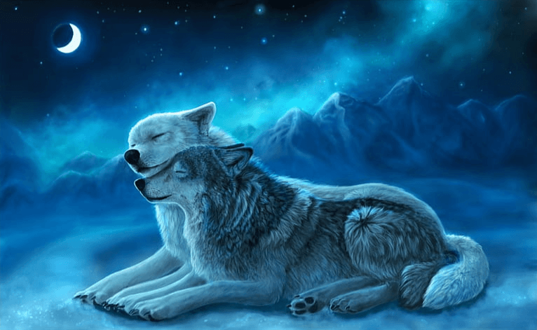 Diamantmalerei Wolfspaar - SEOS Shop ®