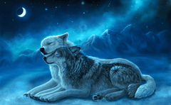 Diamantmalerei Wolfspaar - SEOS Shop ®