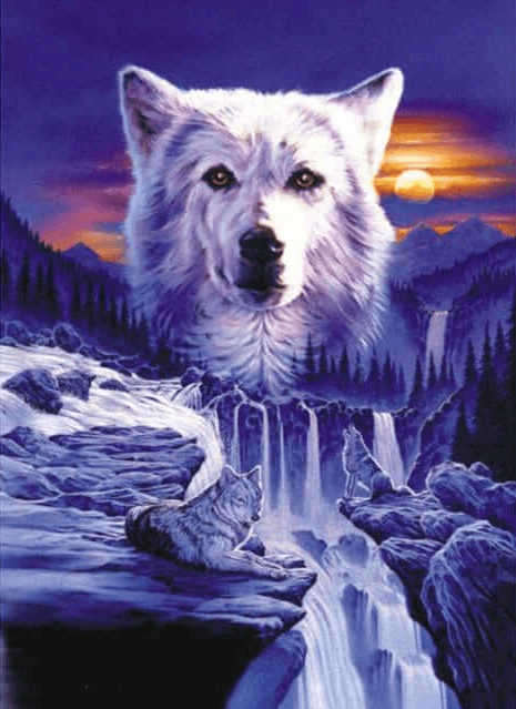 Diamantmalerei Wölfe Wasserfall - SEOS Shop ®