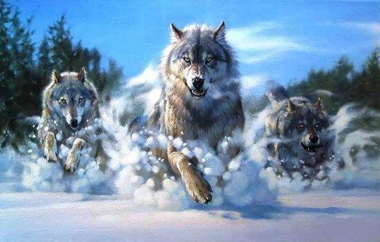 Diamond Painting Wölfe rennen im Schnee – SEOS Shop ®