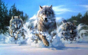 Diamantmalerei „Wölfe rennen im Schnee“ – SEOS Shop ®