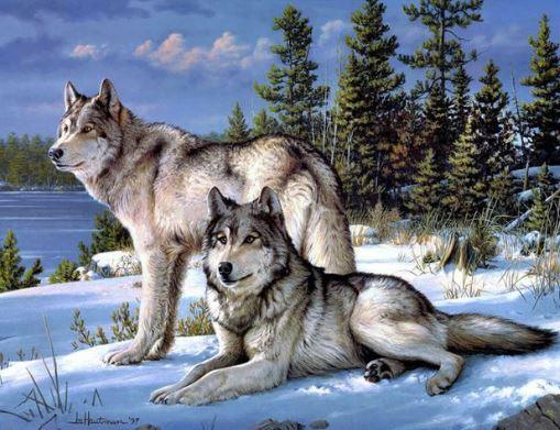 Diamond Painting Wölfe Set – SEOS Shop ®