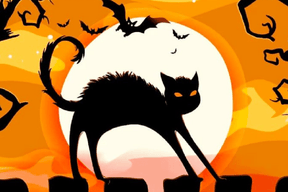 Diamantmalerei Schwarze Katze in der Nacht - SEOS Shop ®