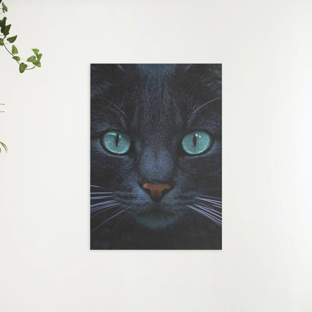 Diamantmalerei Schwarze Katze und blaue Augen - SEOS Shop ®