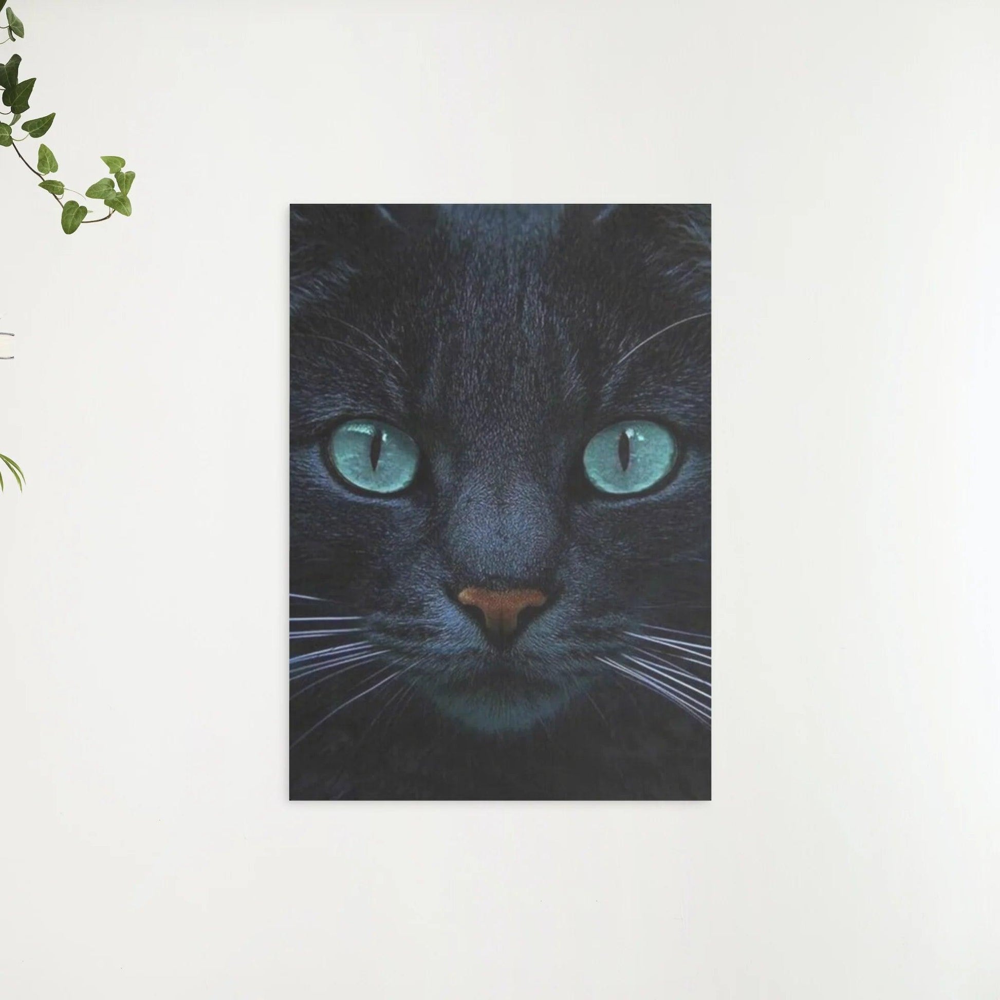 Diamantmalerei Schwarze Katze und blaue Augen - SEOS Shop ®