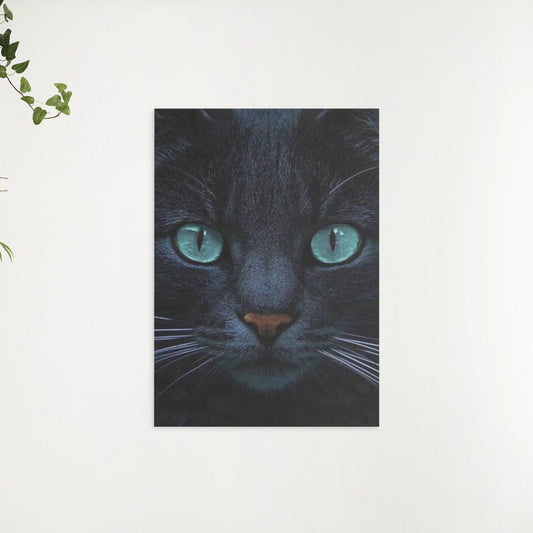 Diamantmalerei Schwarze Katze und blaue Augen - SEOS Shop ®