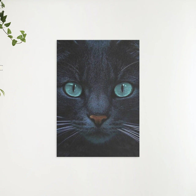 Diamantmalerei Schwarze Katze und blaue Augen - SEOS Shop ®