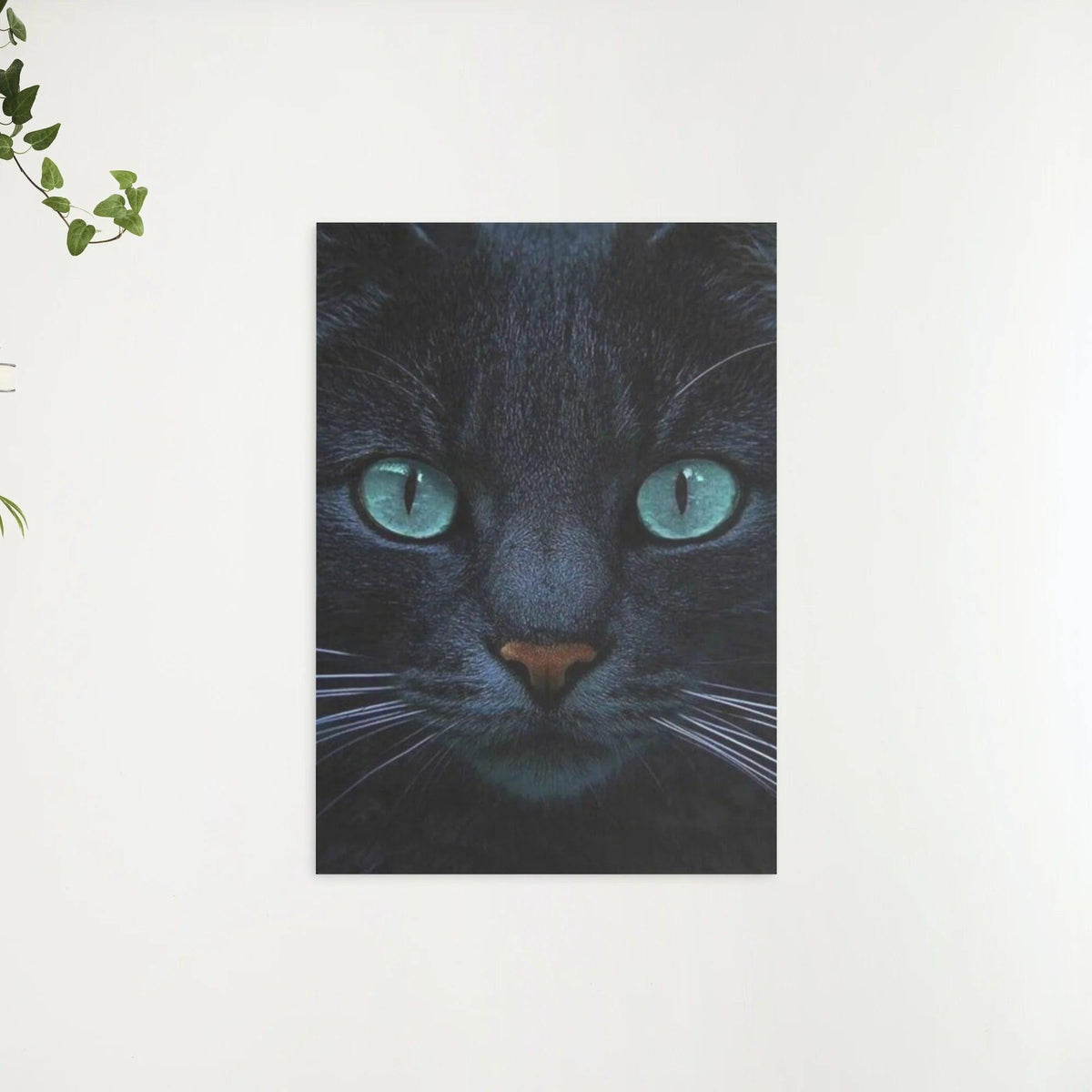 Diamantmalerei Schwarze Katze und blaue Augen - SEOS Shop ®