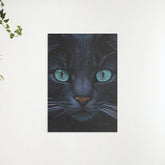 Diamantmalerei Schwarze Katze und blaue Augen - SEOS Shop ®