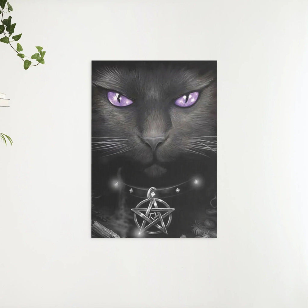 Diamantmalerei Schwarze Katze und lila Augen - SEOS Shop ®