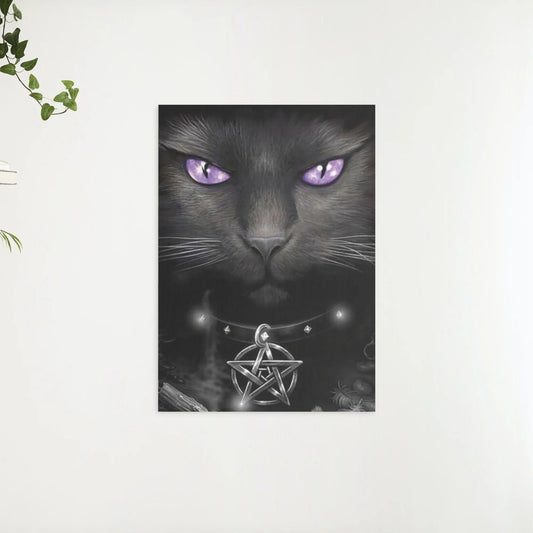 Diamantmalerei Schwarze Katze und lila Augen - SEOS Shop ®