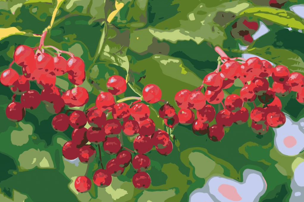 Diamantmalerei - Beeren am Baum - SEOS Shop ®