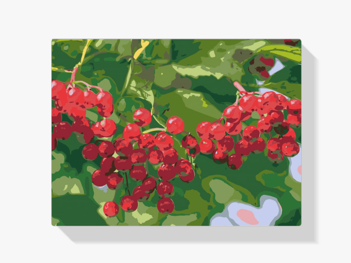 Diamantmalerei - Beeren am Baum - SEOS Shop ®