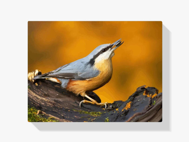 Diamond Painting - Kleiber auf dem Ast - SEOS®