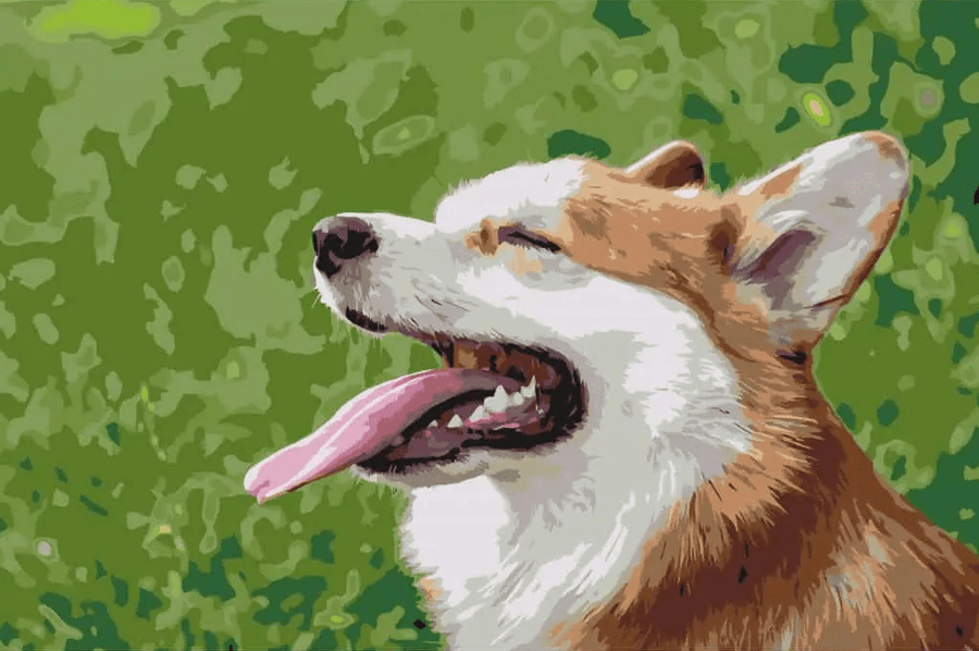Diamantmalerei - Corgi - SEOS®