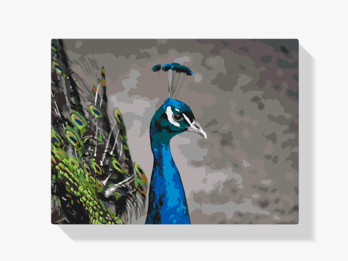 Diamond Painting – Der majestätische Pfau – SEOS®
