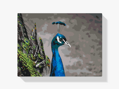 Diamond Painting – Der majestätische Pfau – SEOS®
