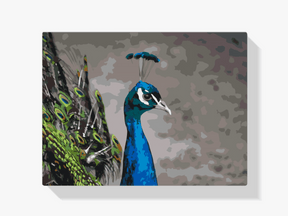 Diamond Painting – Der majestätische Pfau – SEOS®