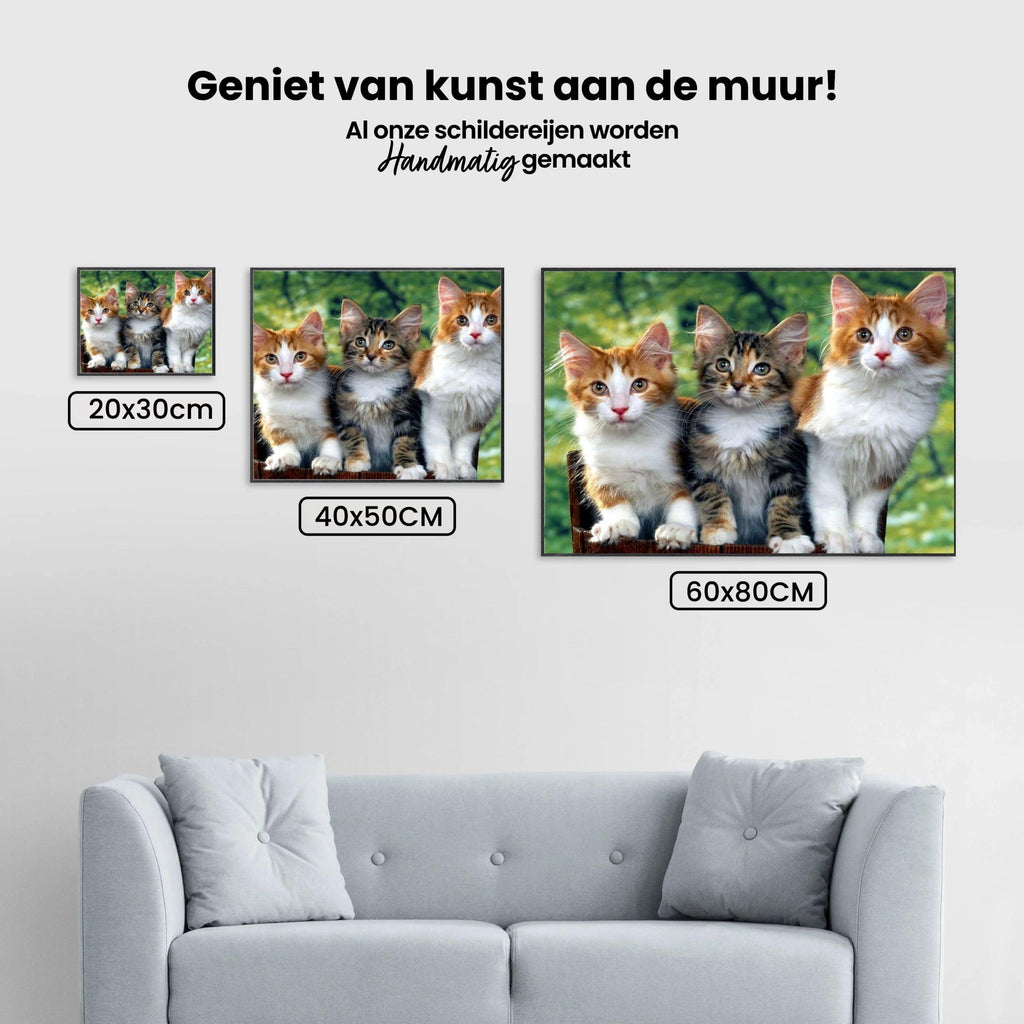 Diamantmalerei - Drei Katzen - SEOS®