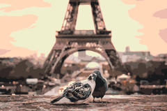 Diamantmalerei – Tauben in Paris – SEOS®