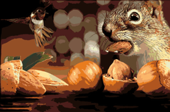 Diamantmalerei – Eichhörnchen und Vogel – SEOS®