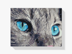 Diamond Painting – Ein durchdringender Blick – SEOS®