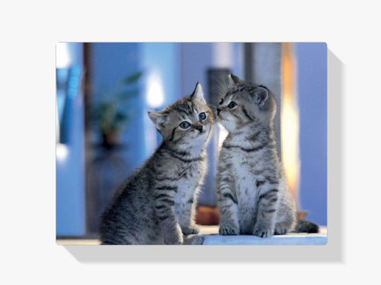 Diamantmalerei - Familienkatzen - SEOS®