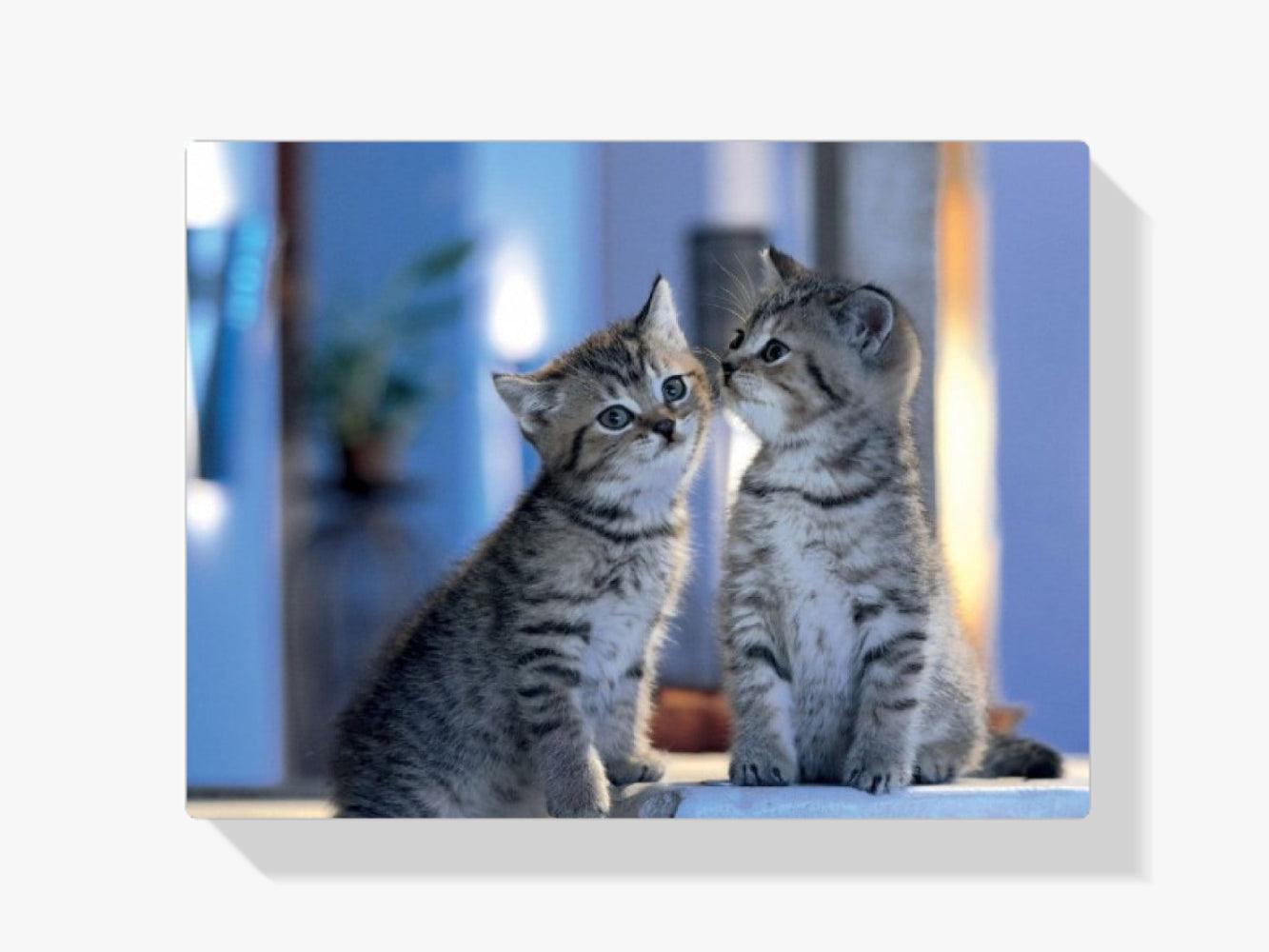 Diamantmalerei - Familienkatzen - SEOS®