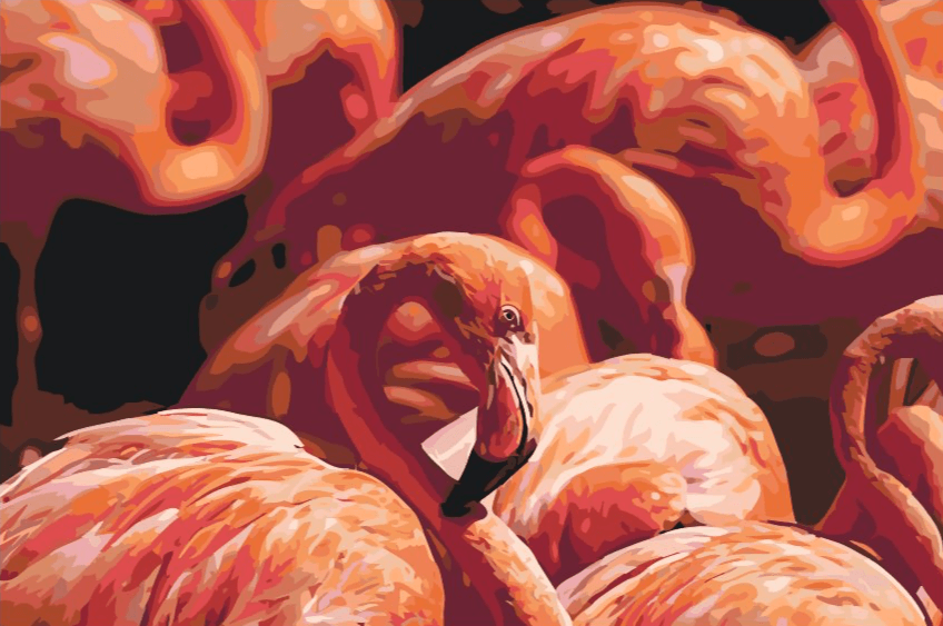 Diamantmalerei - Flamingos 2 - SEOS®