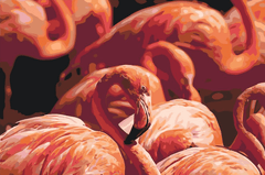 Diamantmalerei - Flamingos 2 - SEOS®