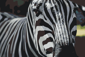 Diamond Painting - Fokus auf Zebra - SEOS®
